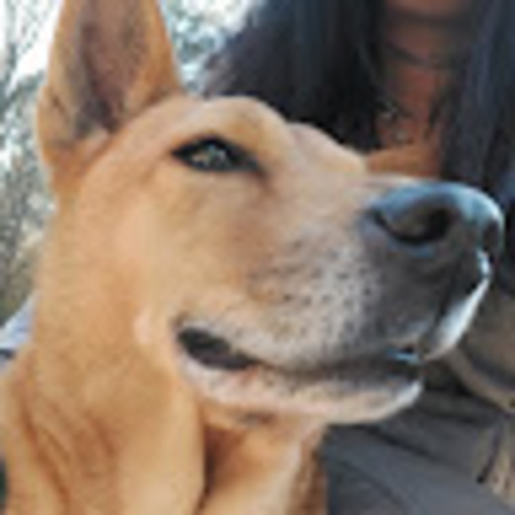 Meet your Posher, Sky - Picture 1 of 1